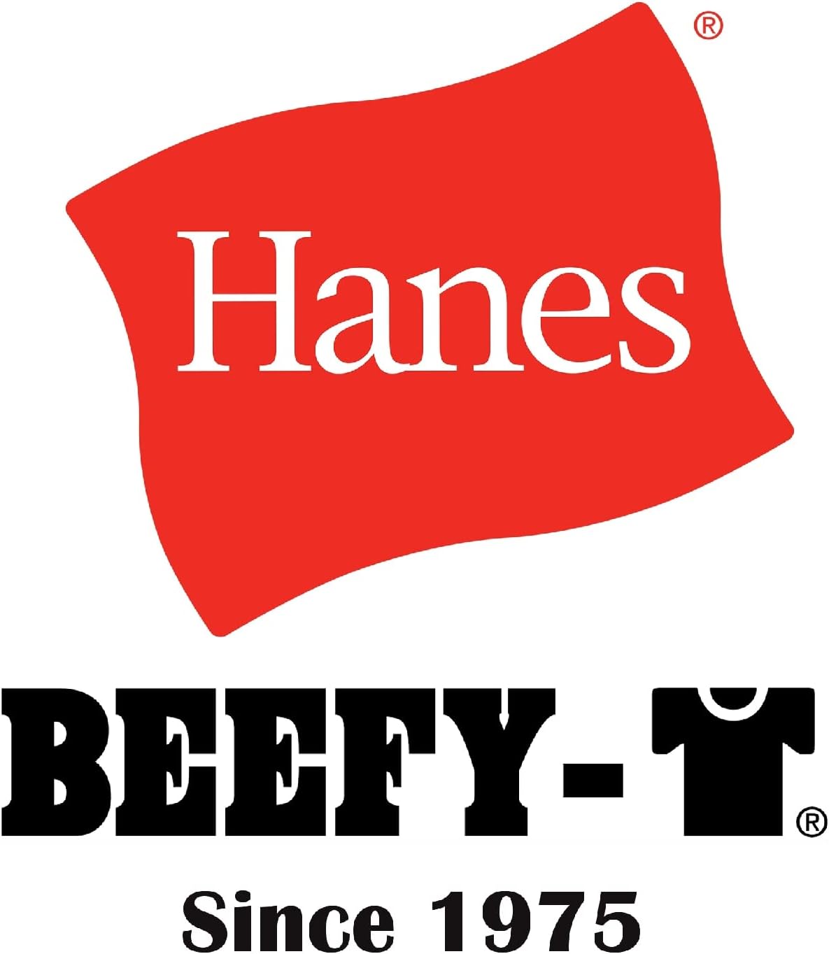 Hanes男式Beefy-t t恤，重量级棉质t恤，1或2件套，大号高