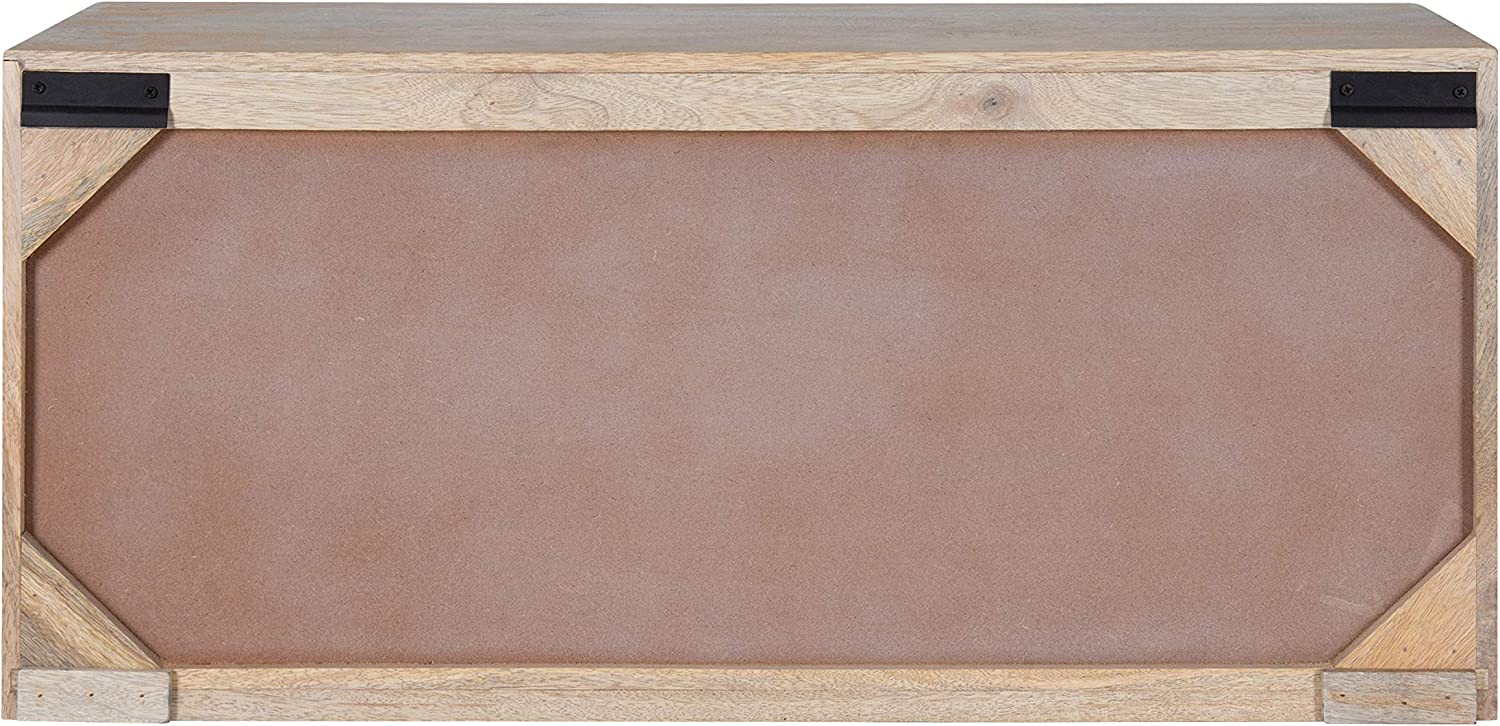Kate and Laurel Mezzeta 装饰性沿海 2 门壁柜，30 x 10 x 14，粉刷，装饰性现代储物柜带门